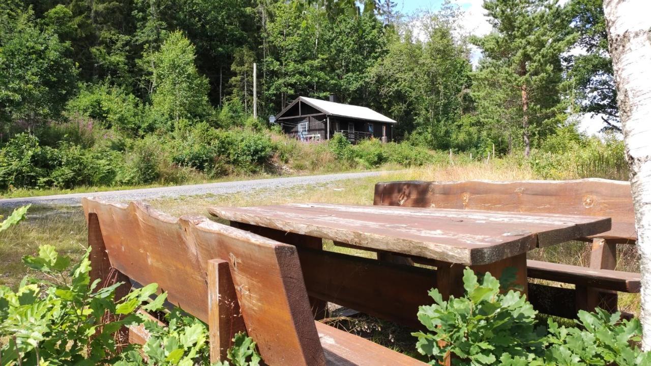 Solheim. Hytte Med 2 Soverom Birkenes Экстерьер фото